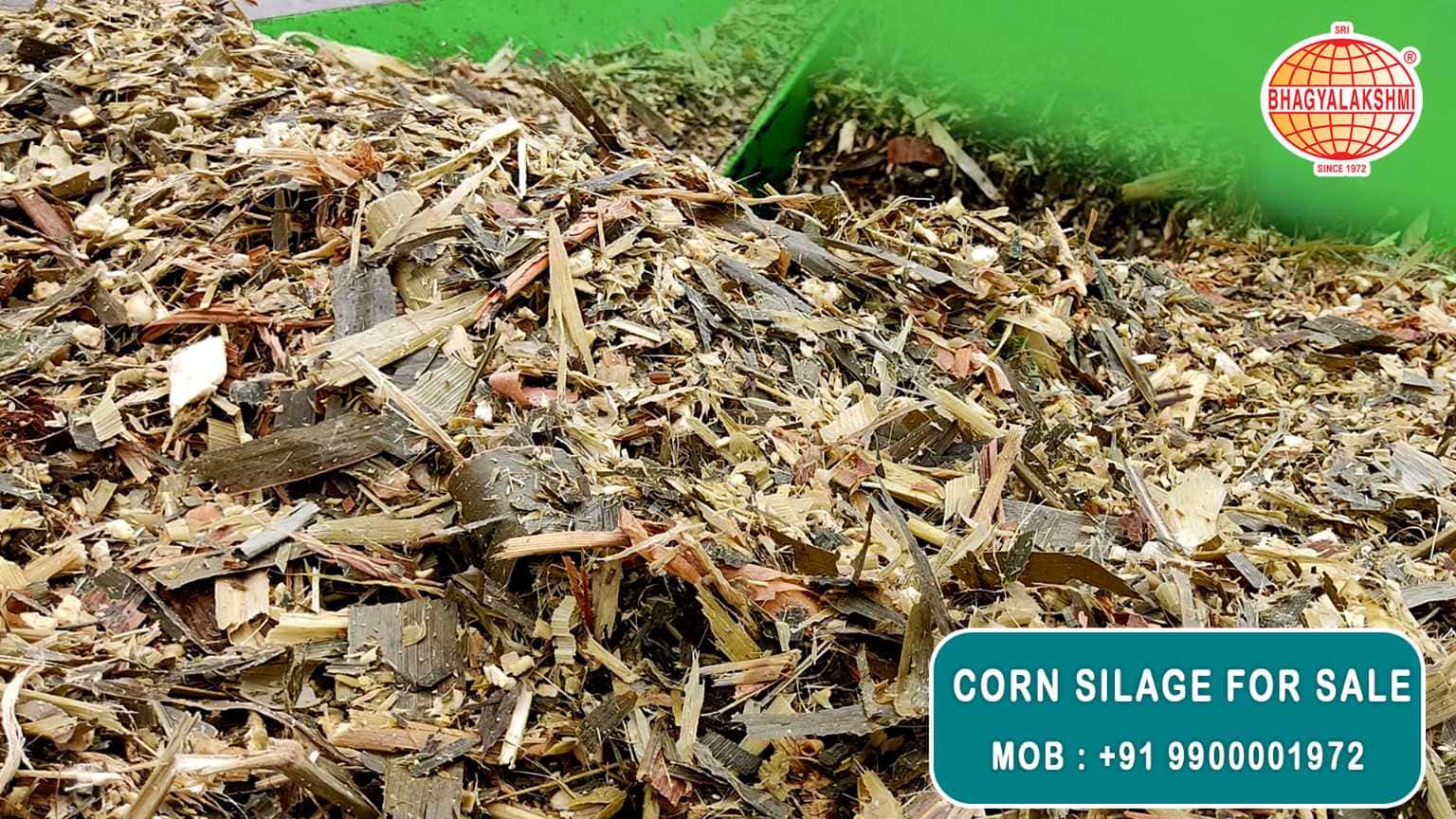 Corn Silage Suppliers in Bangalore | Corn Silage for Sale  |  Corn Silage, Baby Corn Silage manufacturers, suppliers & exporters in Bangalore | corn silage for sale in bangalore |  Sri Bhagyalakshmi Farms Corn Silage Bangalore| Silage Balers | Animal Feed Manufacturers | Production of Silage |Cattle feed manufacturers & suppliers - SBL Farms is solving the biggest fodder crisis in India, by supplying Silage bales, Bailing machines to dairy farmers, Cooperatives, Animal Husbandry | Best Cattle Feed Manufacturers & Silage Suppliers in India | Indias Best Baled Silage Producers